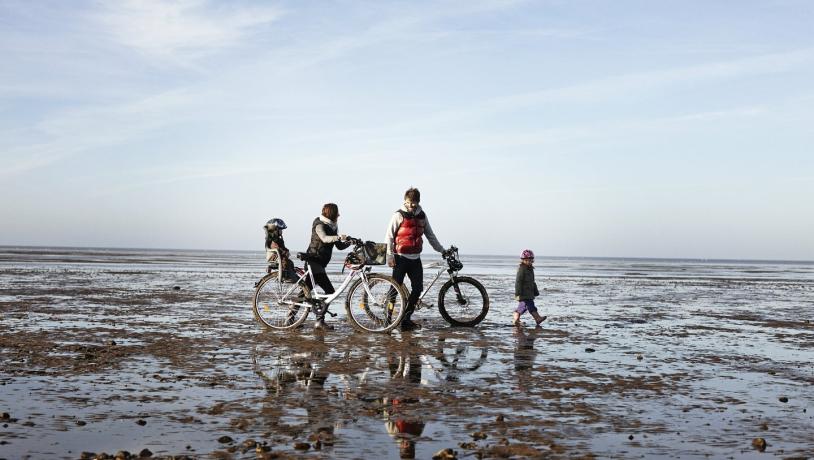 Family with bikes in the Wadden Sea 