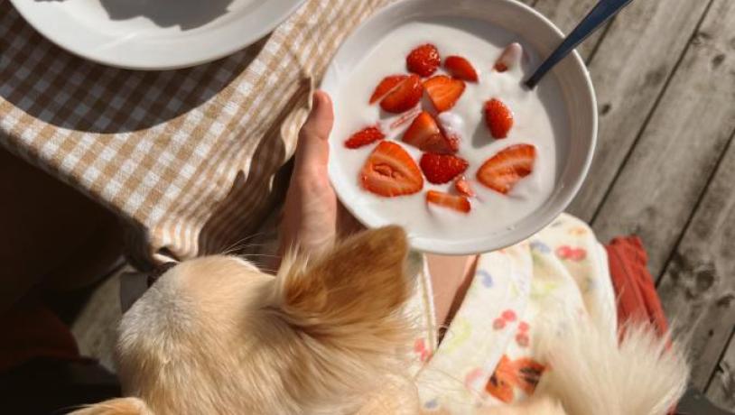 isabella nordjylland