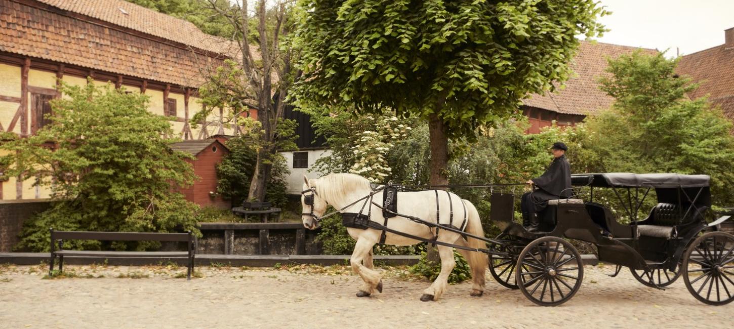 Horse carriage in Den Gamle By (old town museum) in Aarhus, Denmark