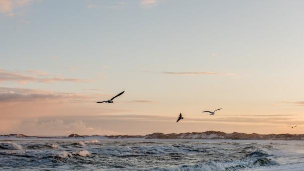 Strand von Klitmøller im Winter