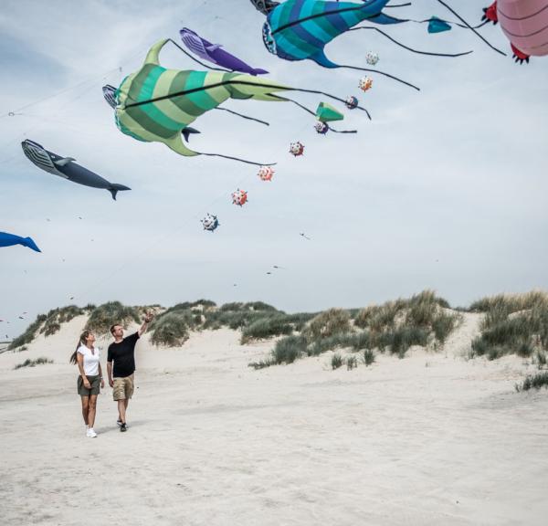 Couple on Rindby Strand in Fanø with flying kites