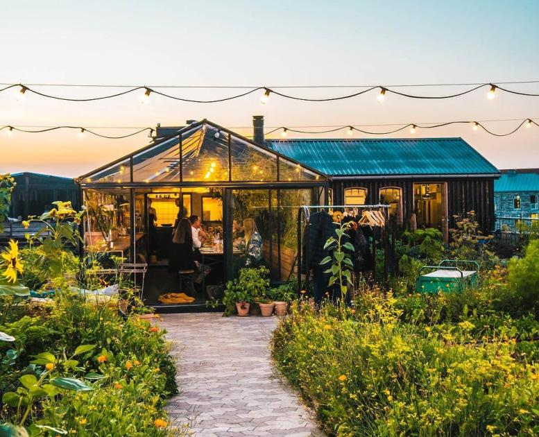 Østergro ligger på Østerbro och är både en restaurang och en odlingsträdgård (på ett tak!)