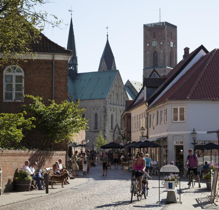Denmark's oldest town Ribe