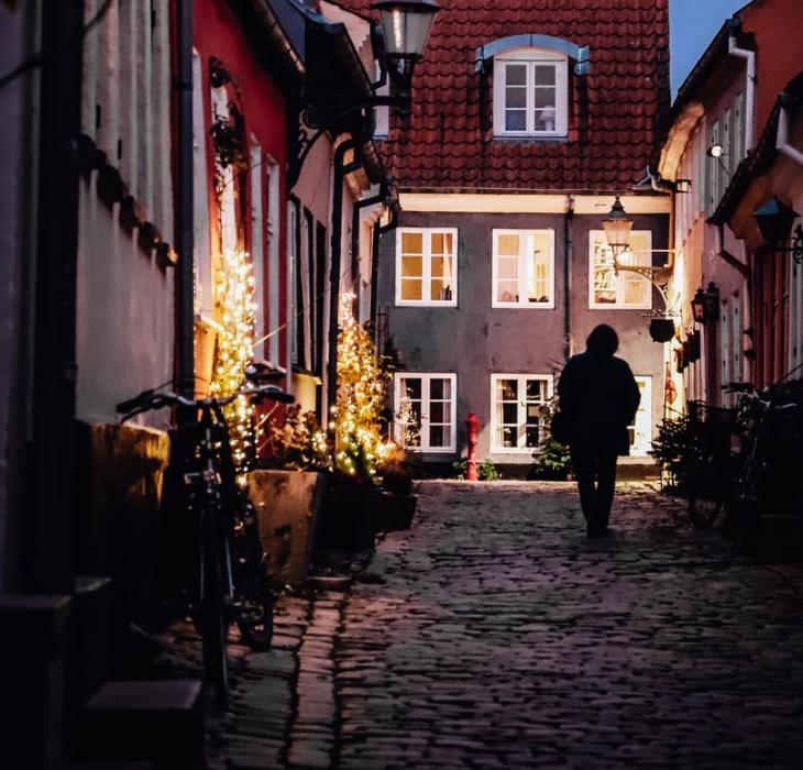 hjelmerstald aalborg denmark in winter